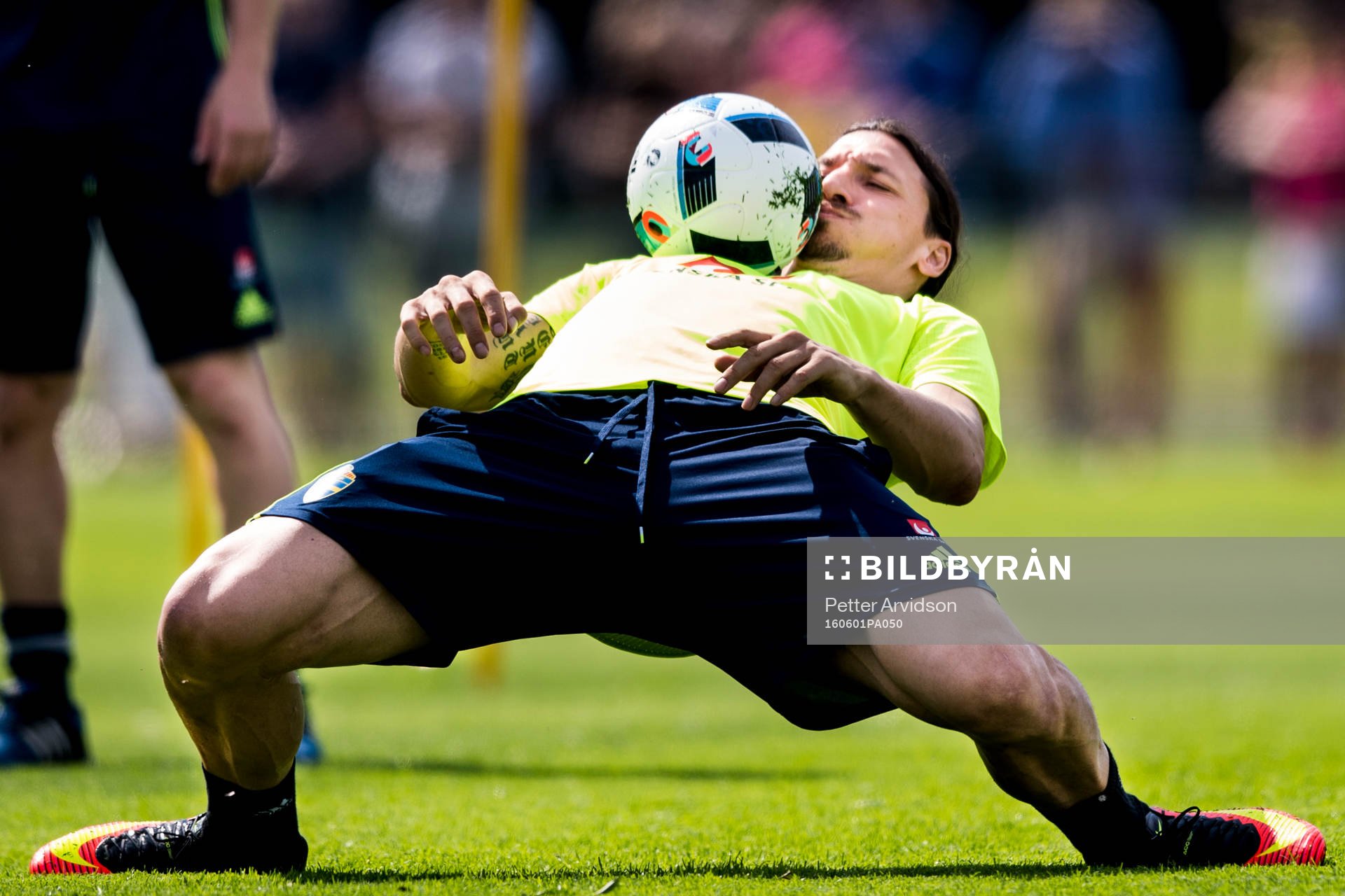 Zlatan Ibrahimovic