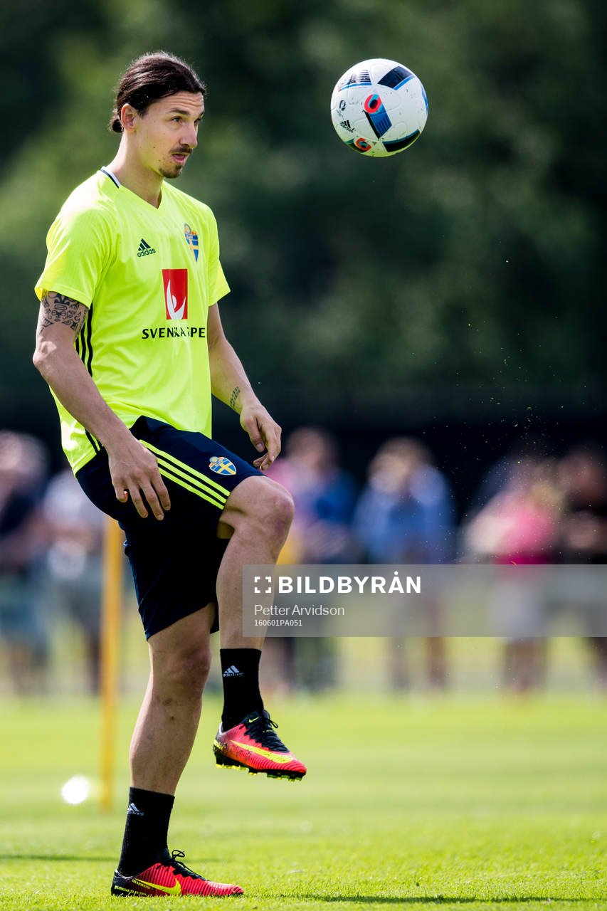 Zlatan Ibrahimovic