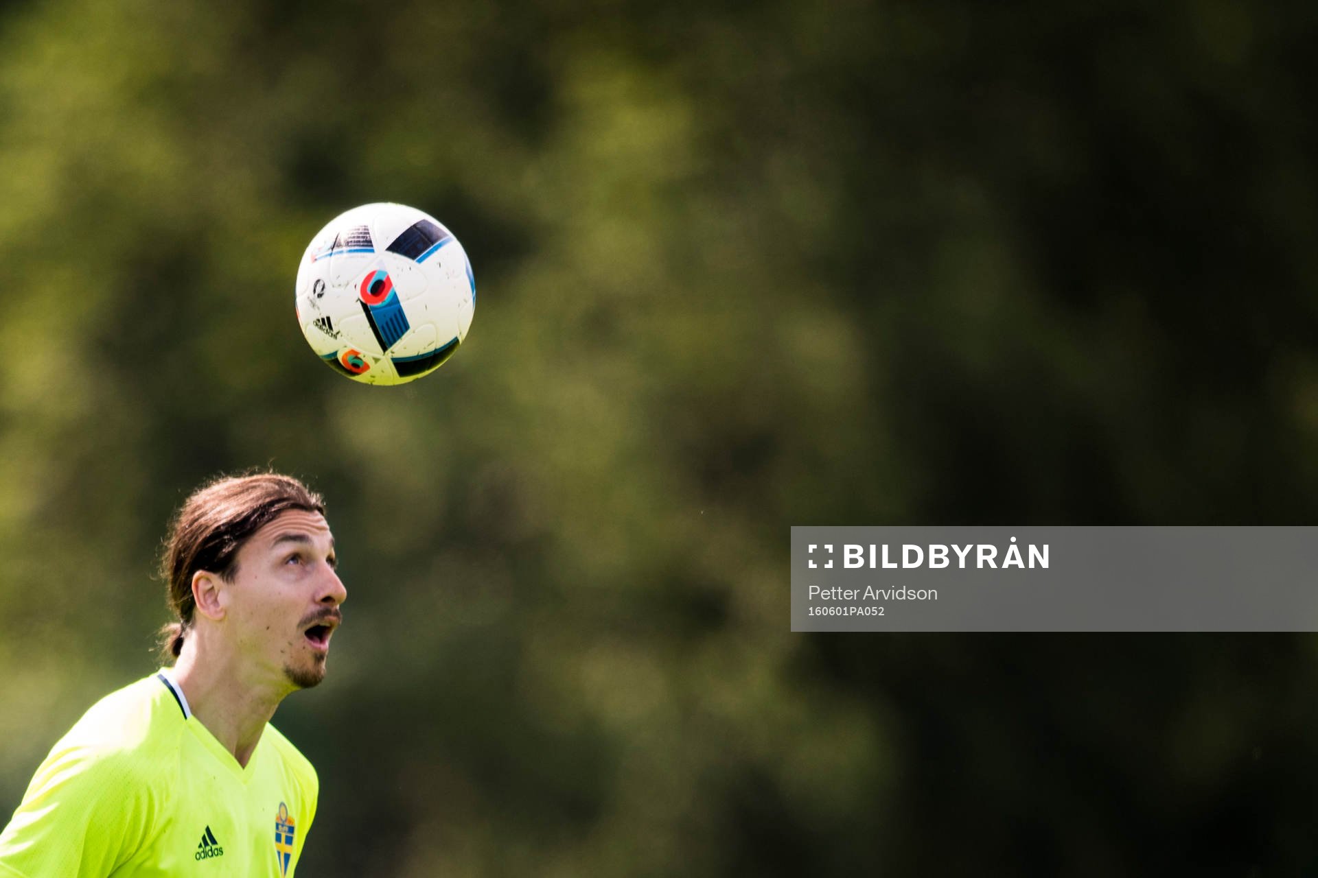 Zlatan Ibrahimovic
