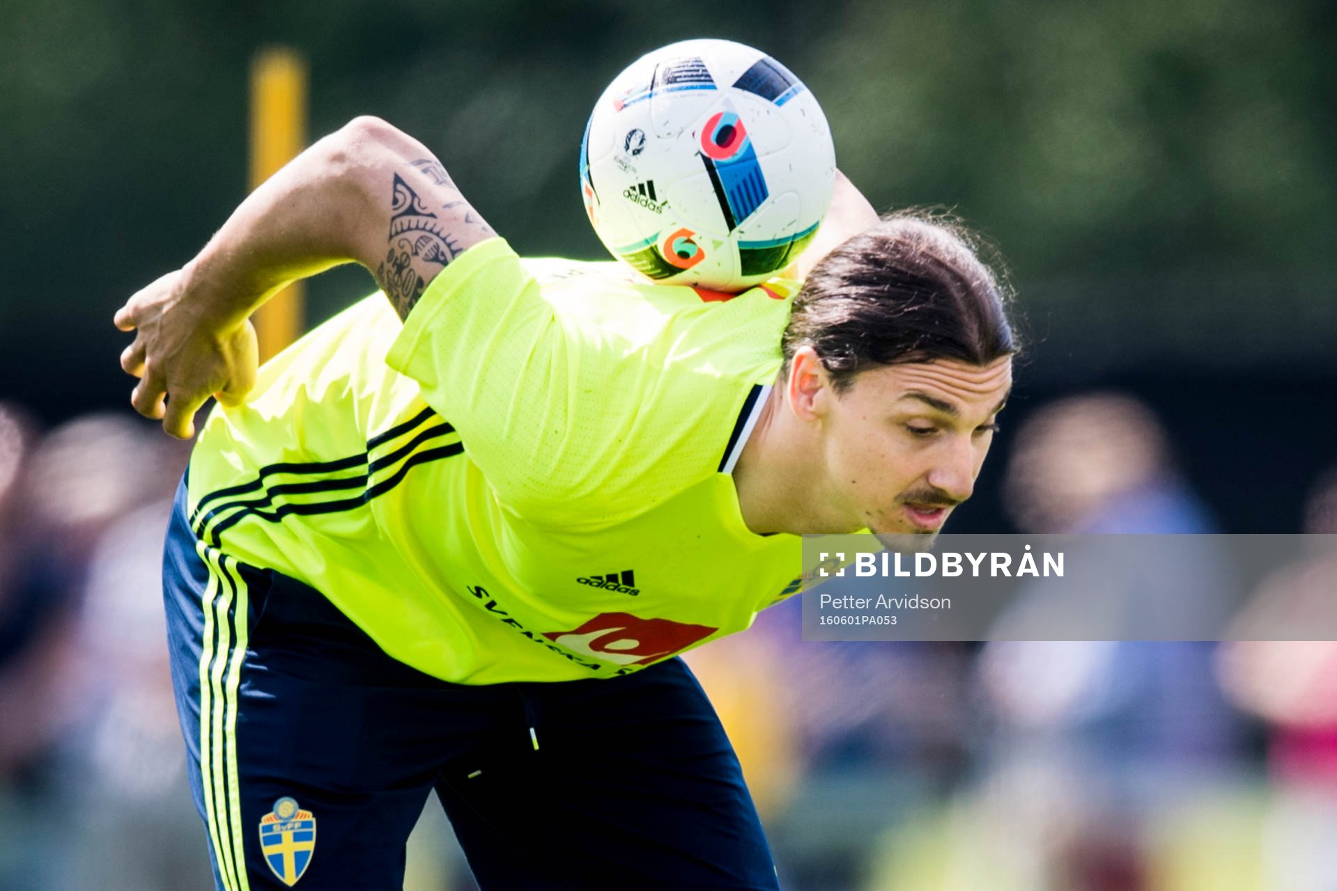 Zlatan Ibrahimovic