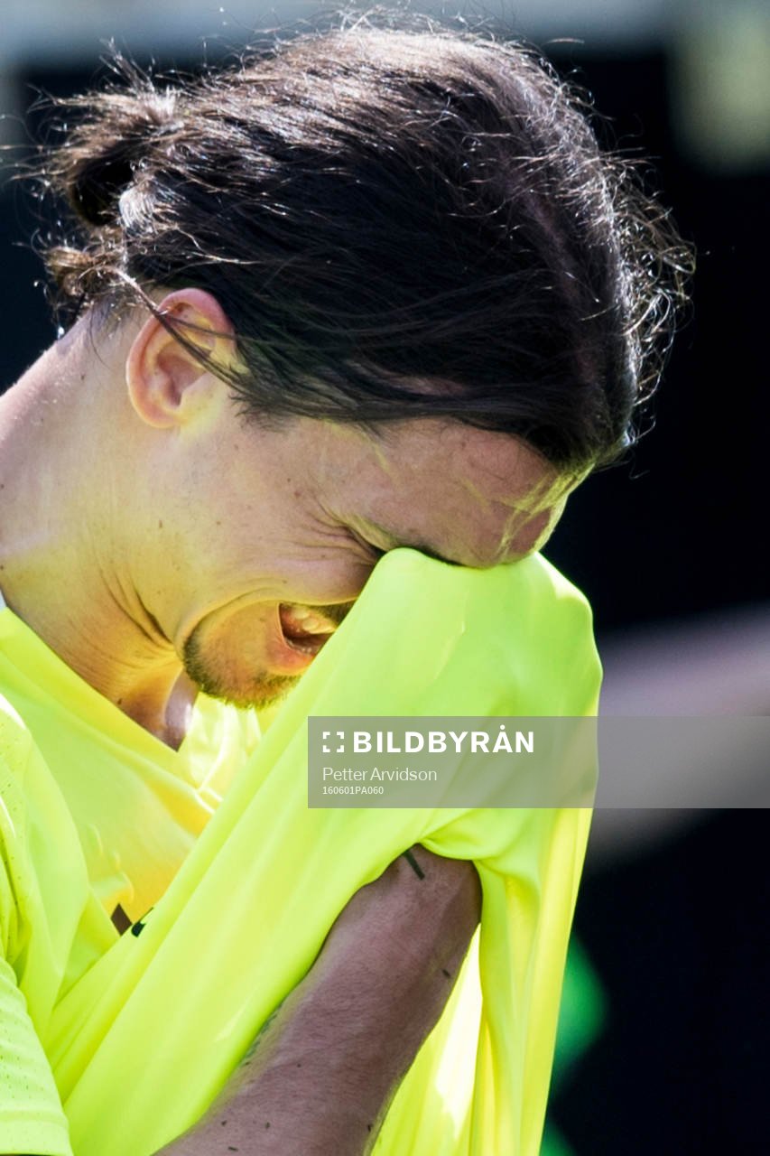 Zlatan Ibrahimovic