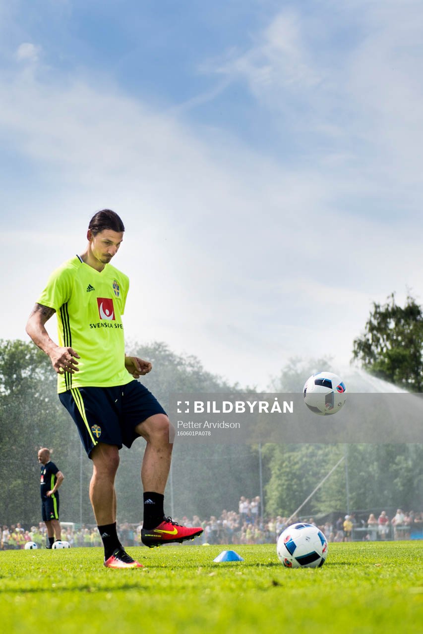Zlatan Ibrahimovic