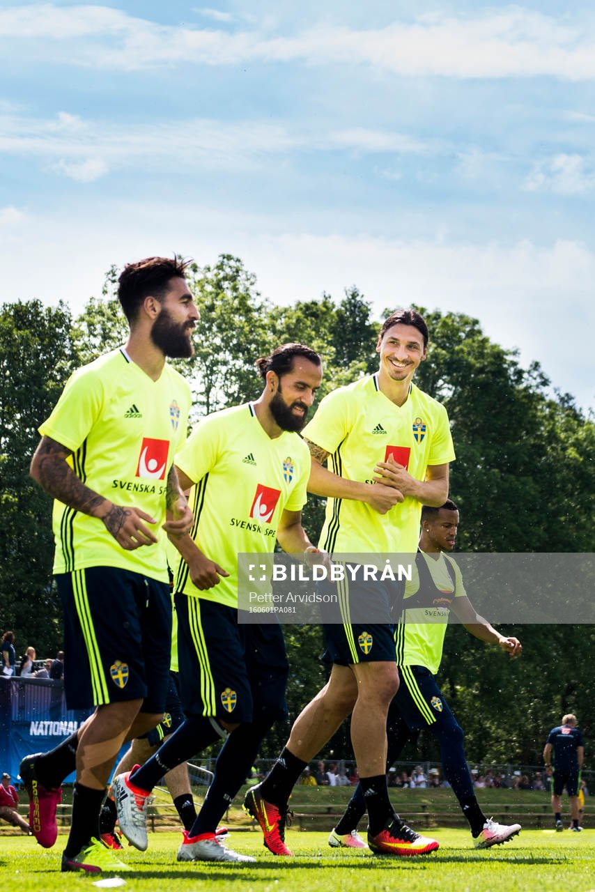 Jimmy Durmaz, Erkan Zengin och Zlatan Ibrahimovic