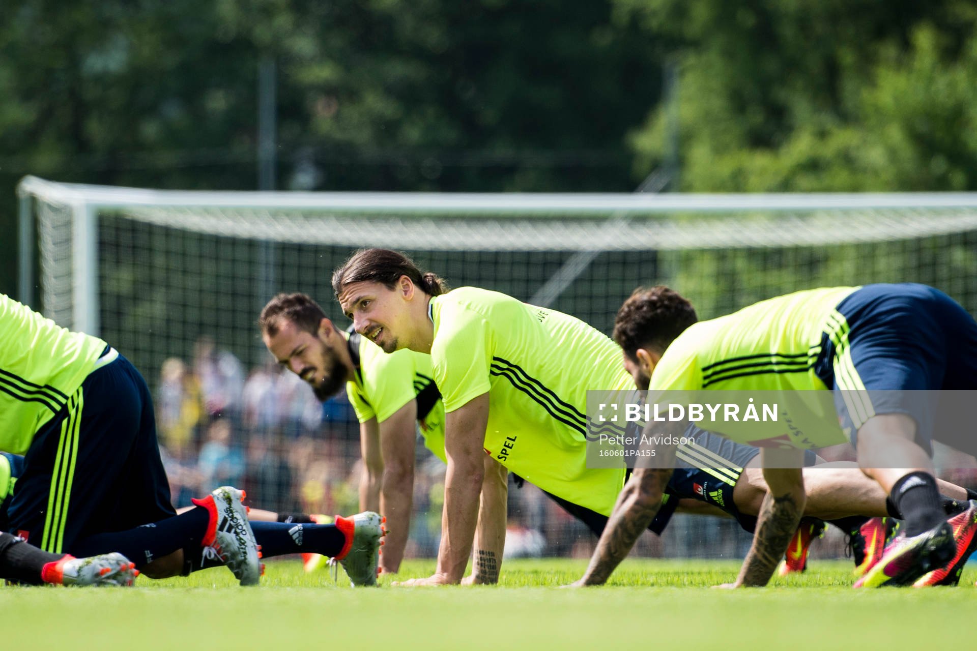 Zlatan Ibrahimovic
