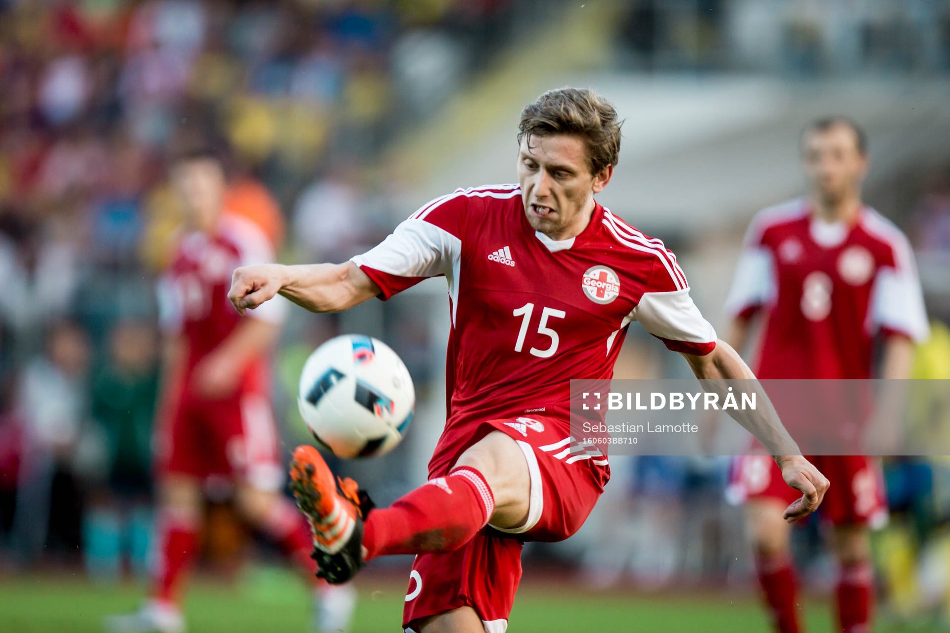 Georgiens Dachi Tsnobiladze