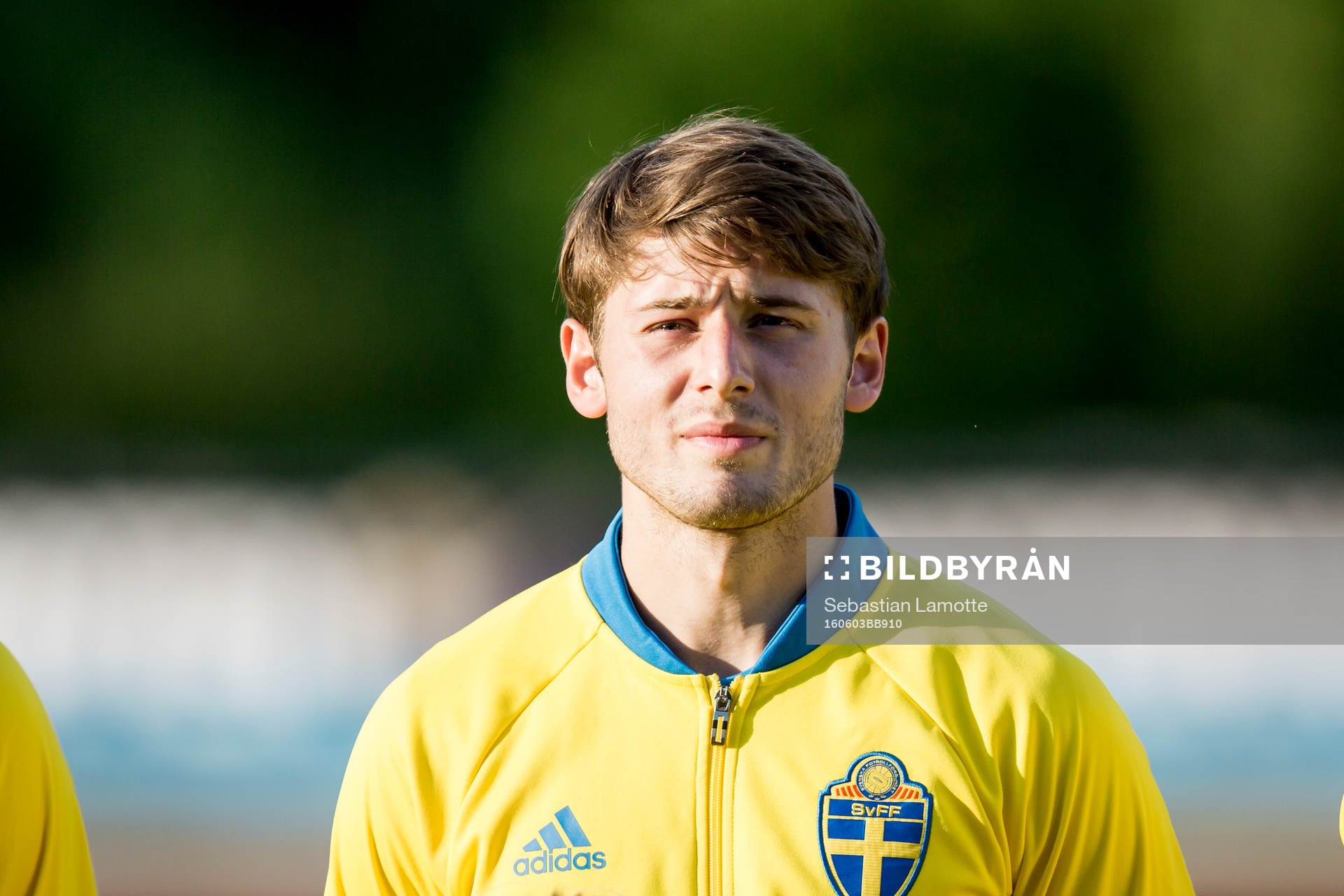 Sveriges Arber Zeneli