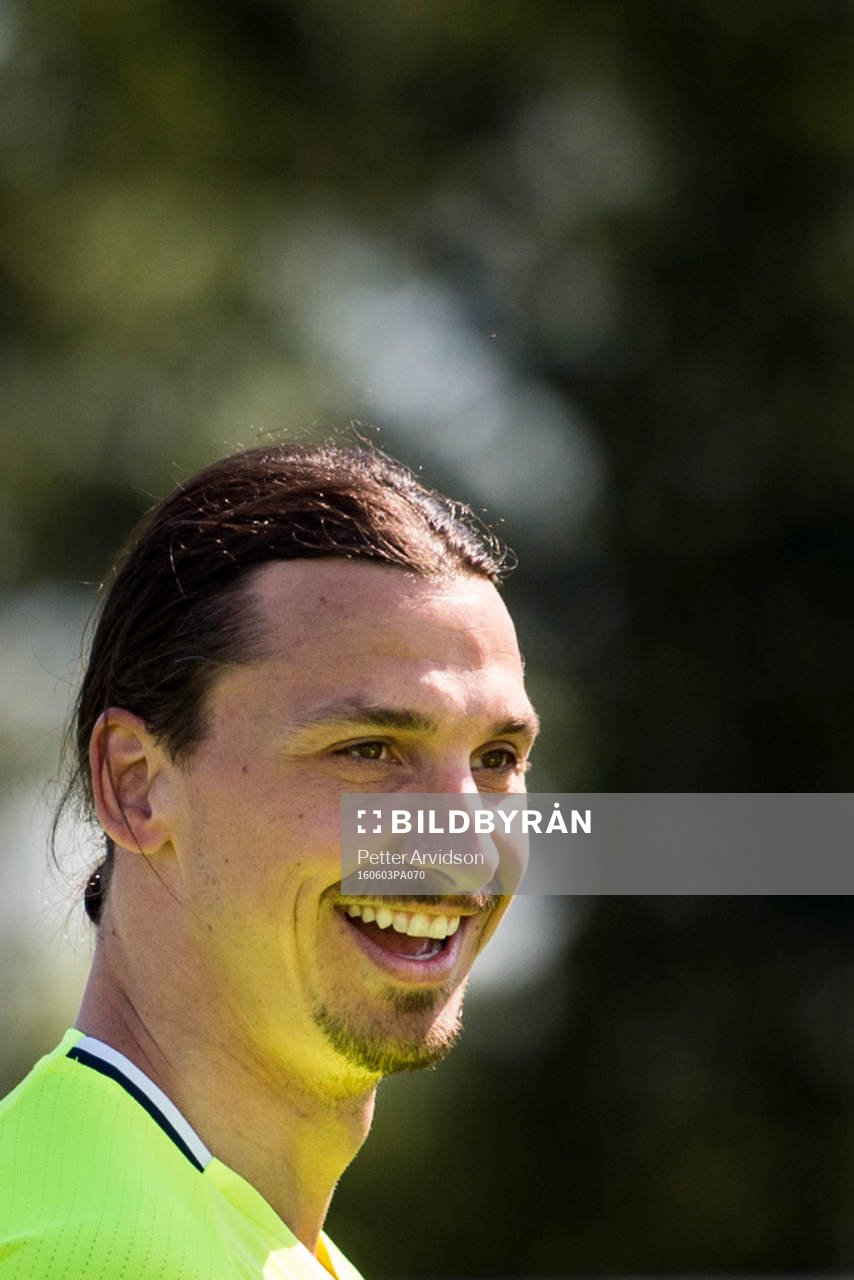 Zlatan Ibrahimovic