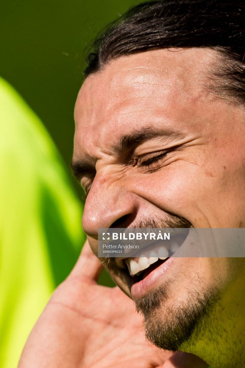 Zlatan Ibrahimovic