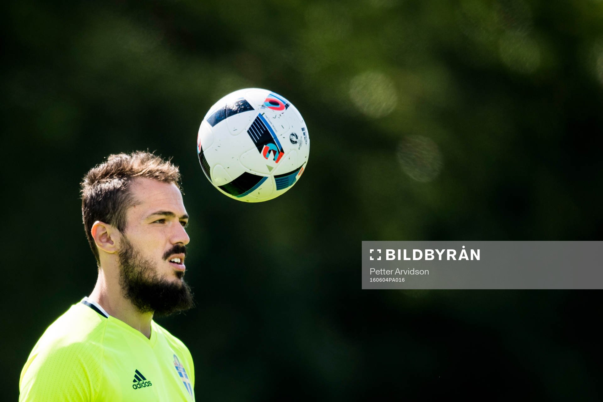 Emir Kujovic