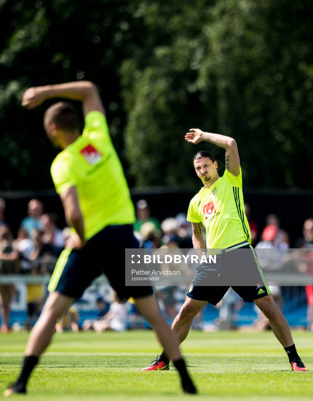 Zlatan Ibrahimovic