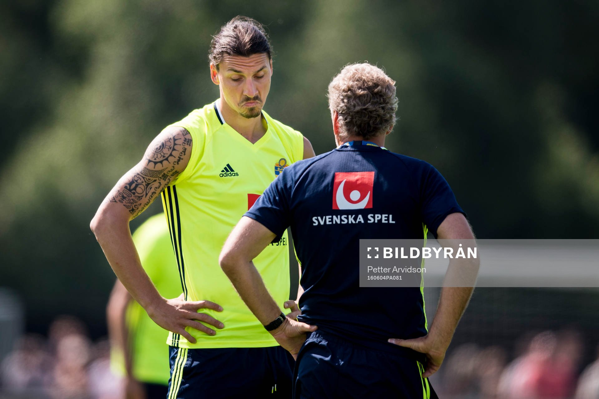 Zlatan Ibrahimovic i samtal med förbundskapten Erik Hamrén