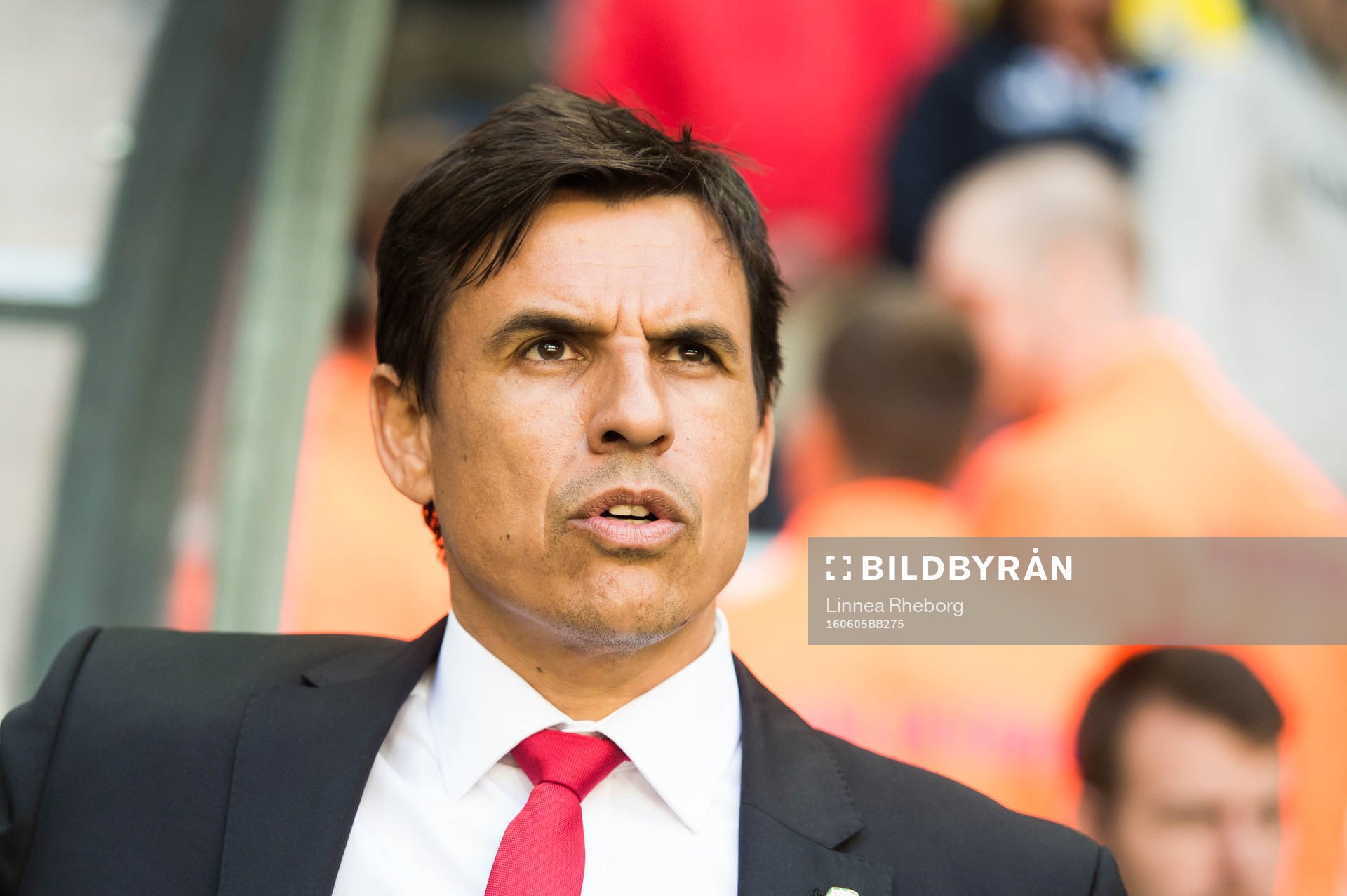 Wales förbundskapten Chris Coleman