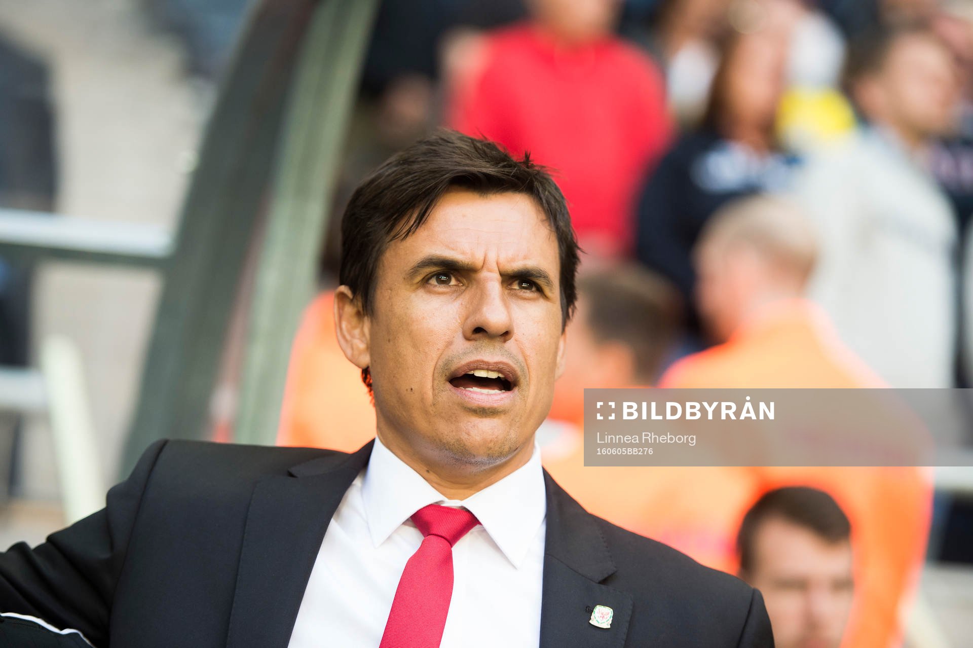 Wales förbundskapten Chris Coleman sjunger Wales