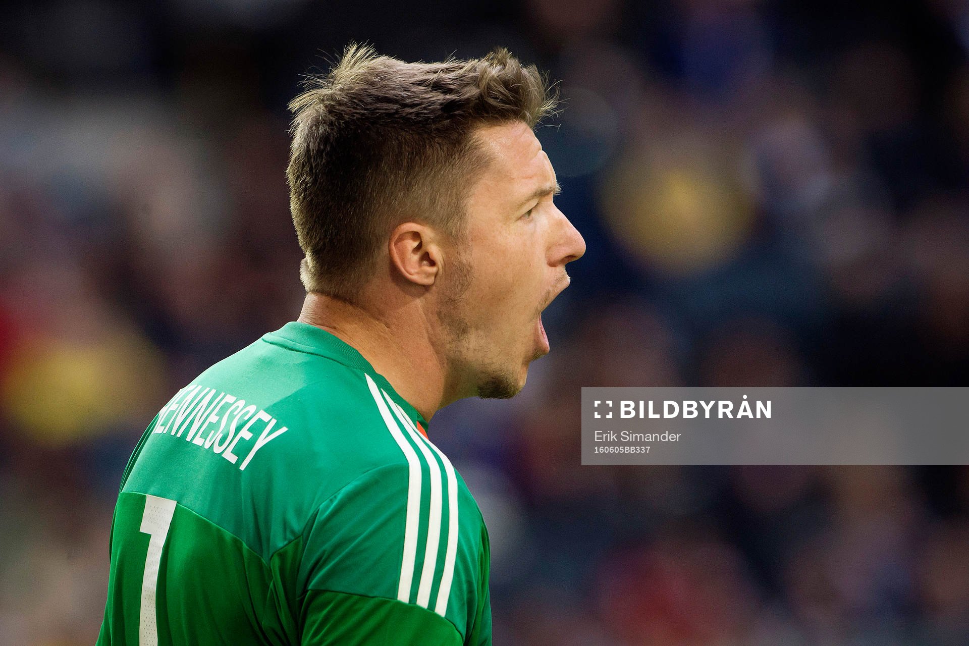 Wales målvakt Wayne Hennesey