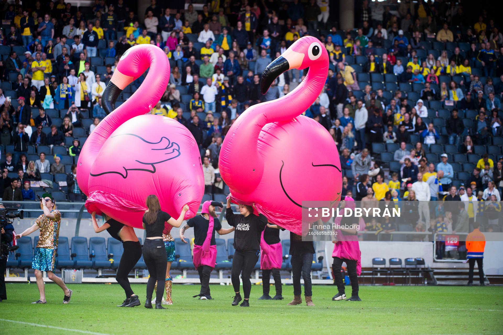 Frej Larsson och Joy framför EM-låten Mitt Team i