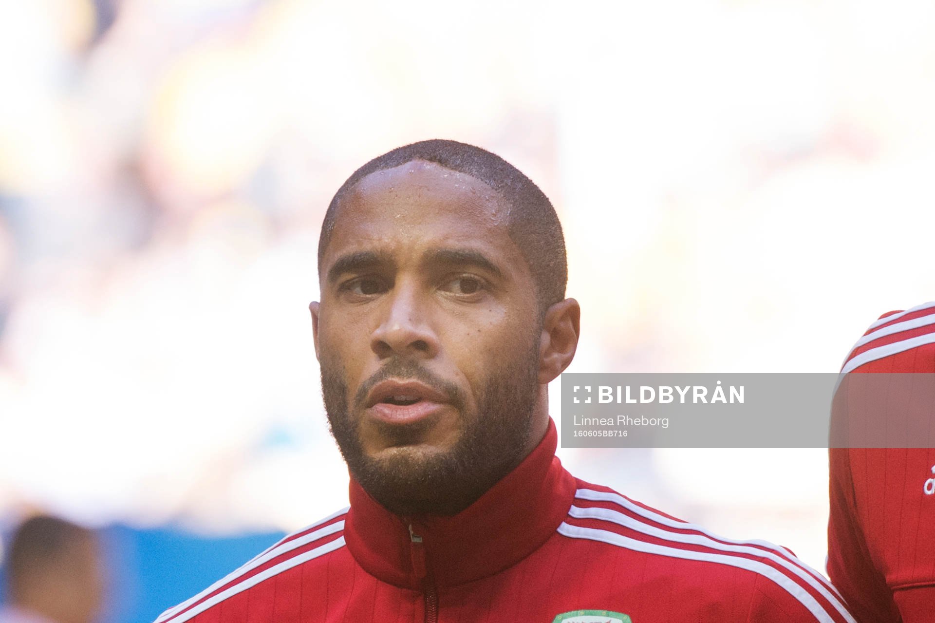 Wales Ashley Williams