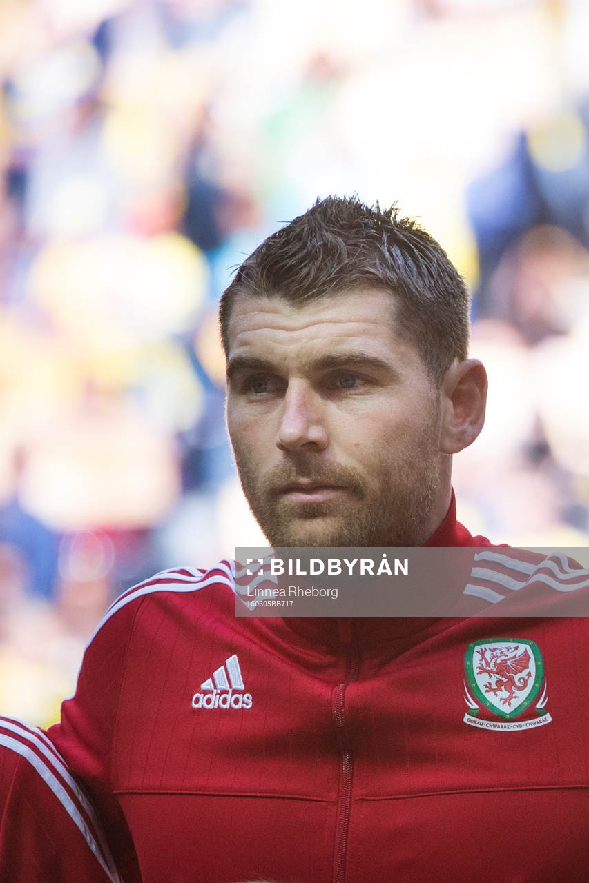 Wales Sam Vokes
