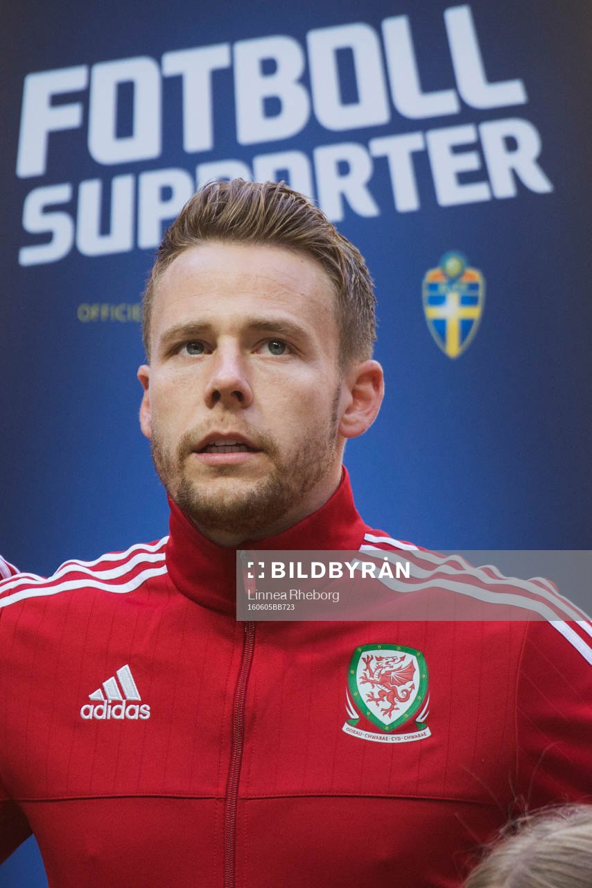 Wales Chris Gunter