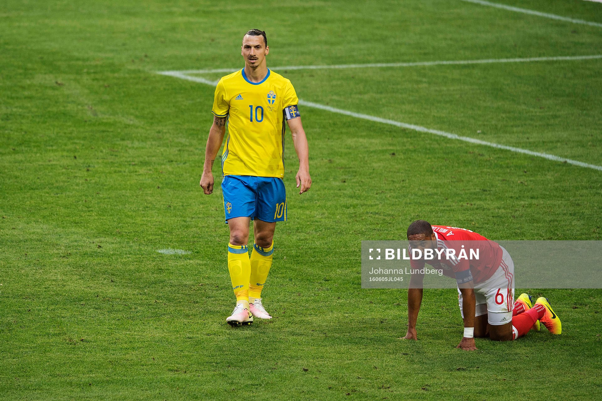 Sveriges Zlatan Ibrahimovic och Wales Ashley Williams