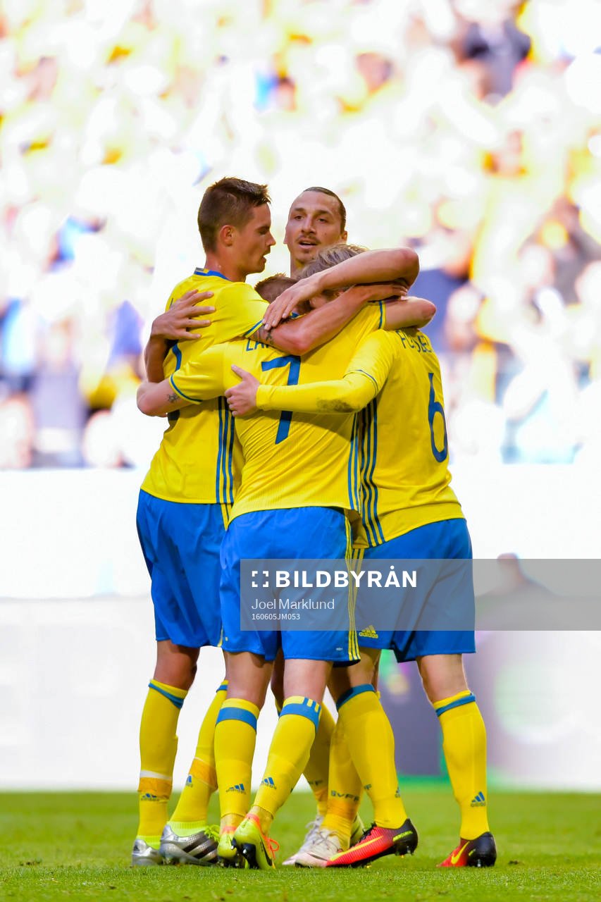 Sveriges Zlatan Ibrahimovic jublar med lagkamraterna