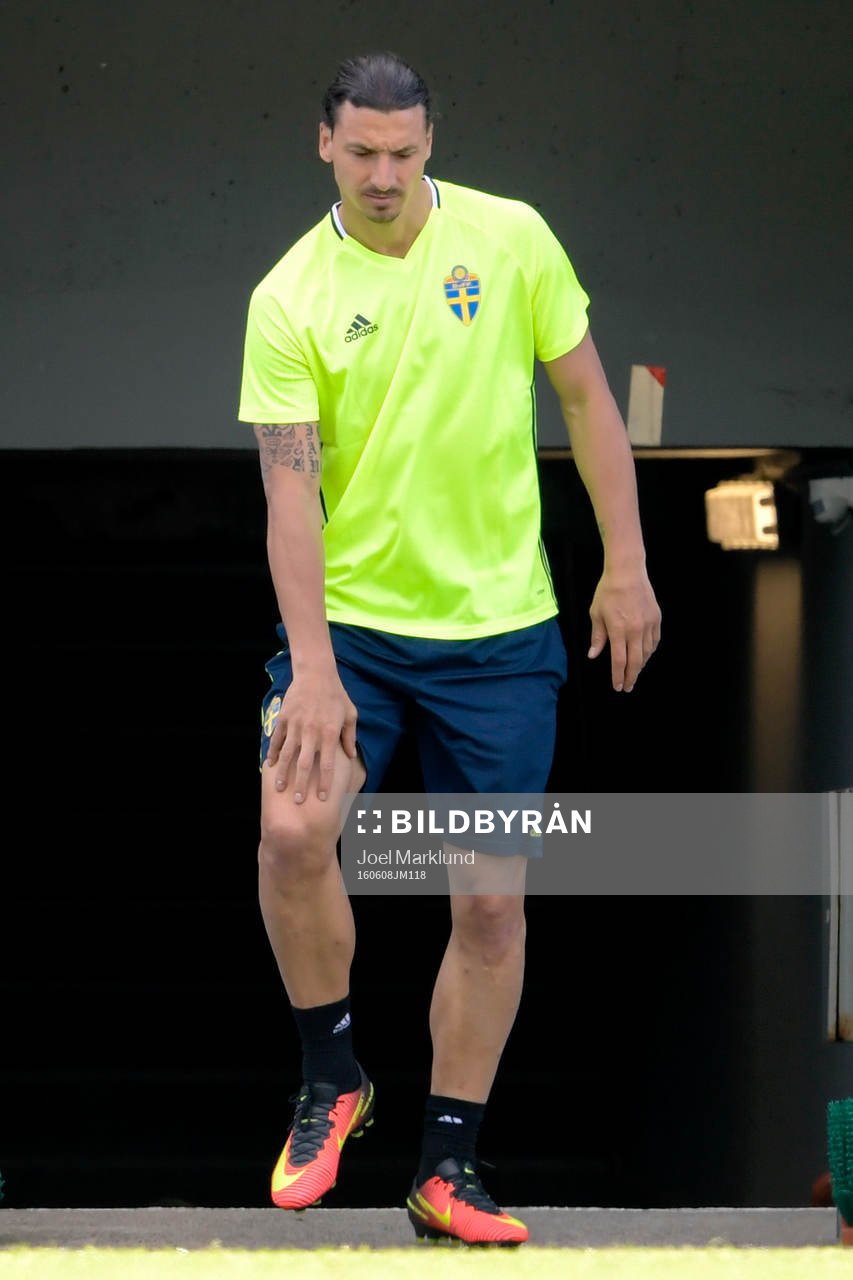Sveriges Zlatan Ibrahimovic kommer in till Sveriges