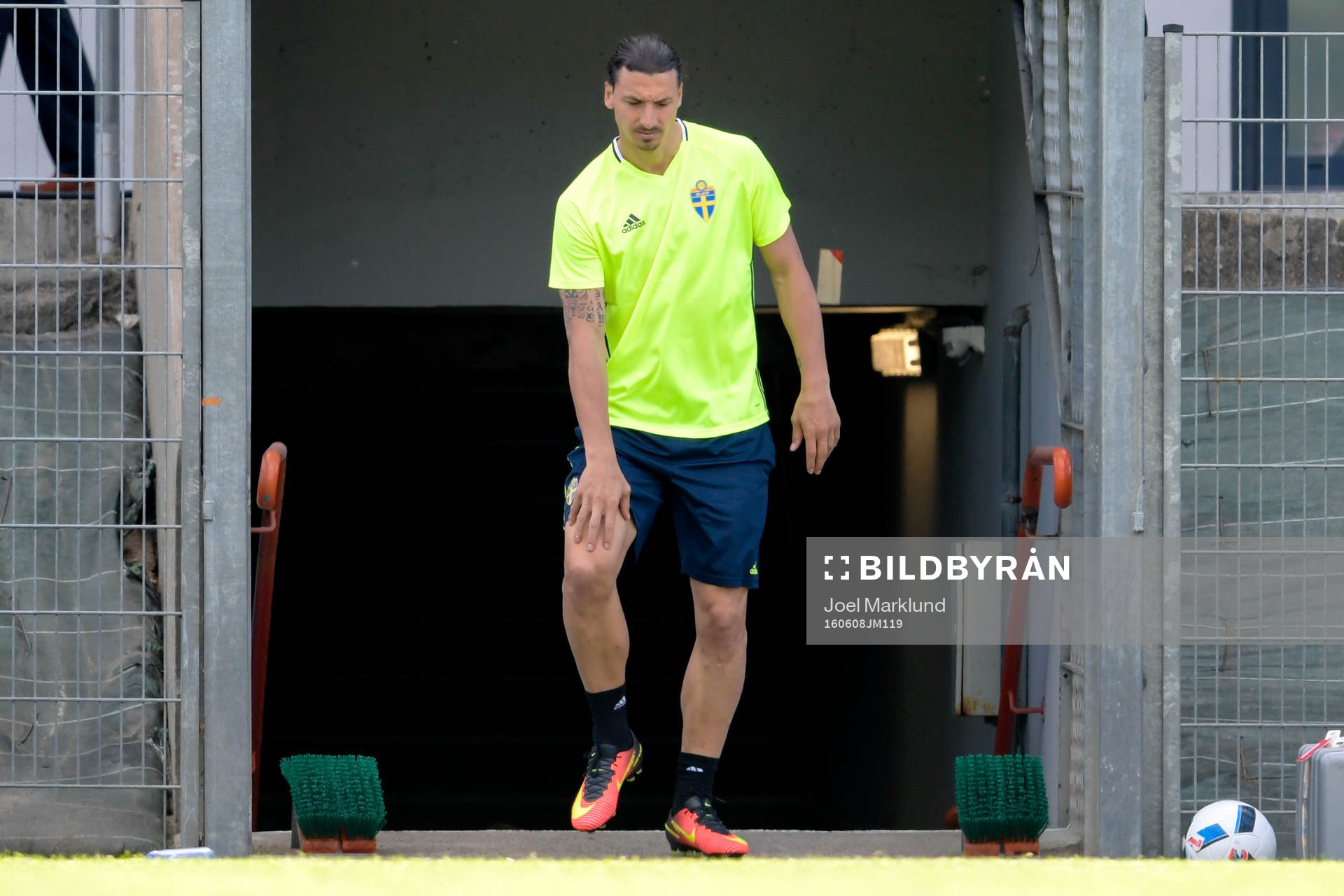 Sveriges Zlatan Ibrahimovic kommer in till Sveriges
