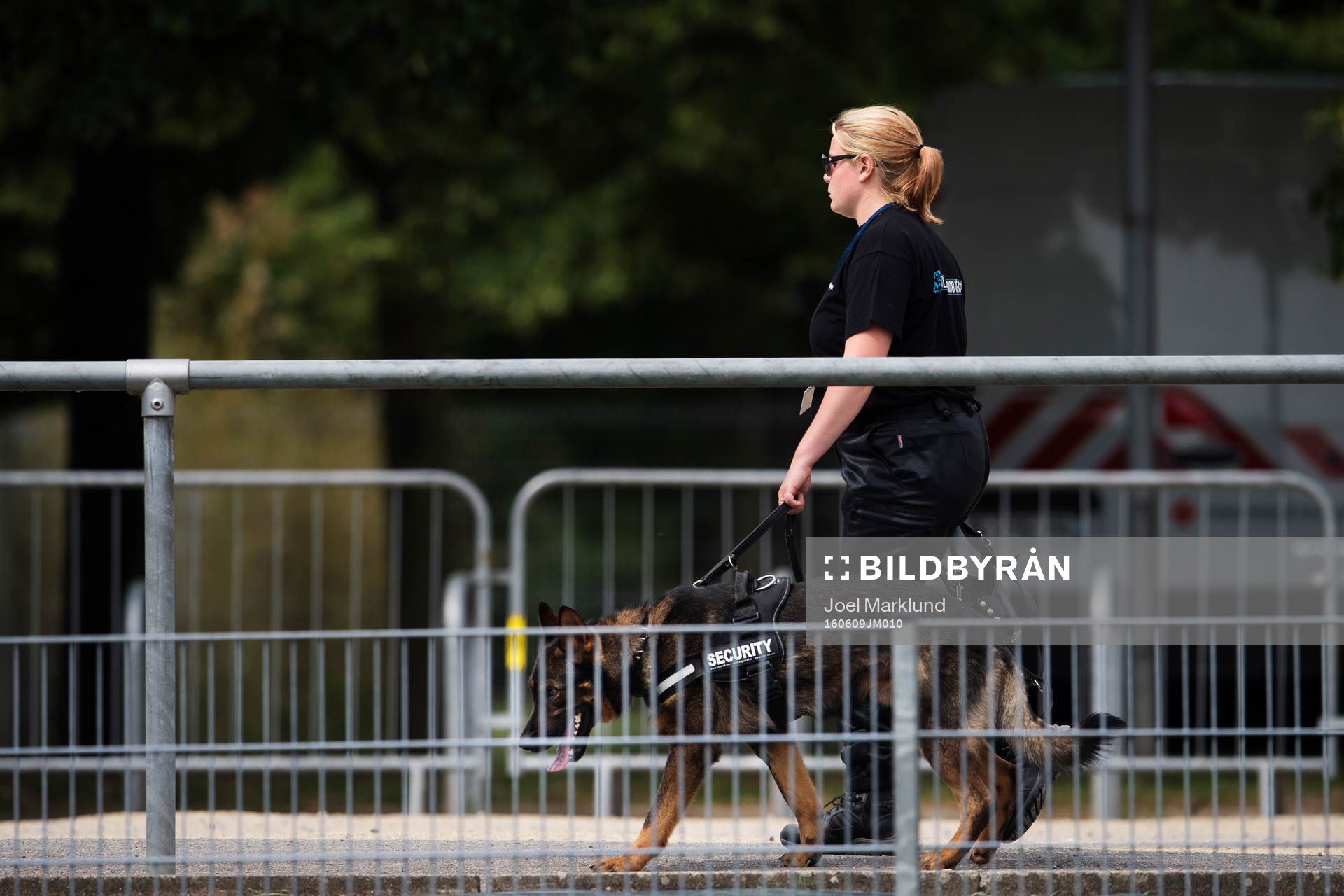 En säkerhetsvakt patrullerar med en hund