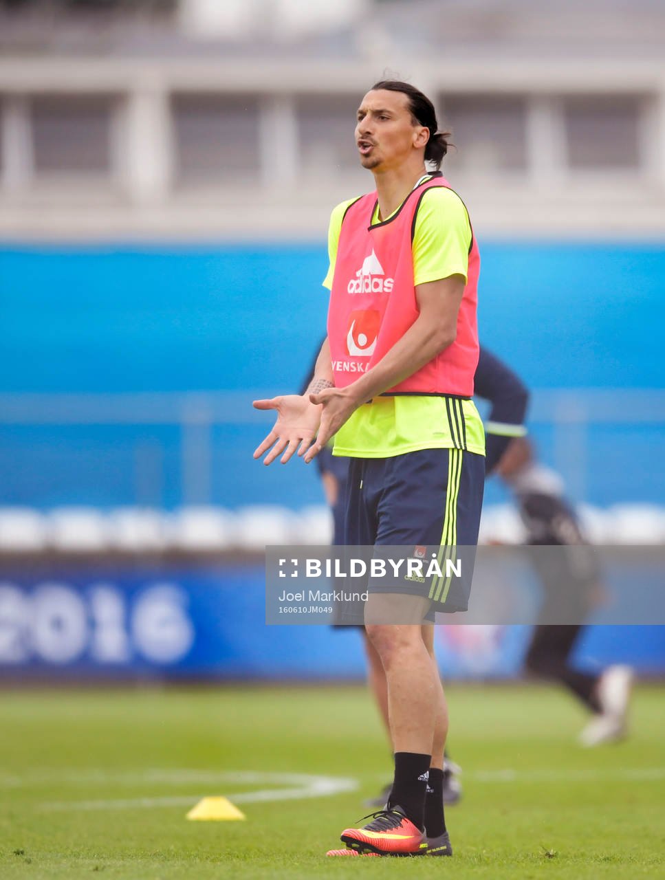 Sveriges Zlatan Ibrahimovic blir frustread när han inte