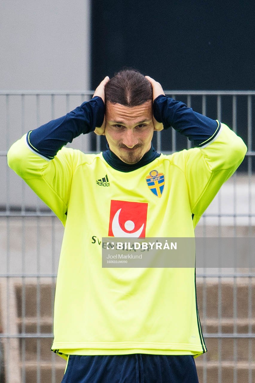 Zlatan Ibrahimovic