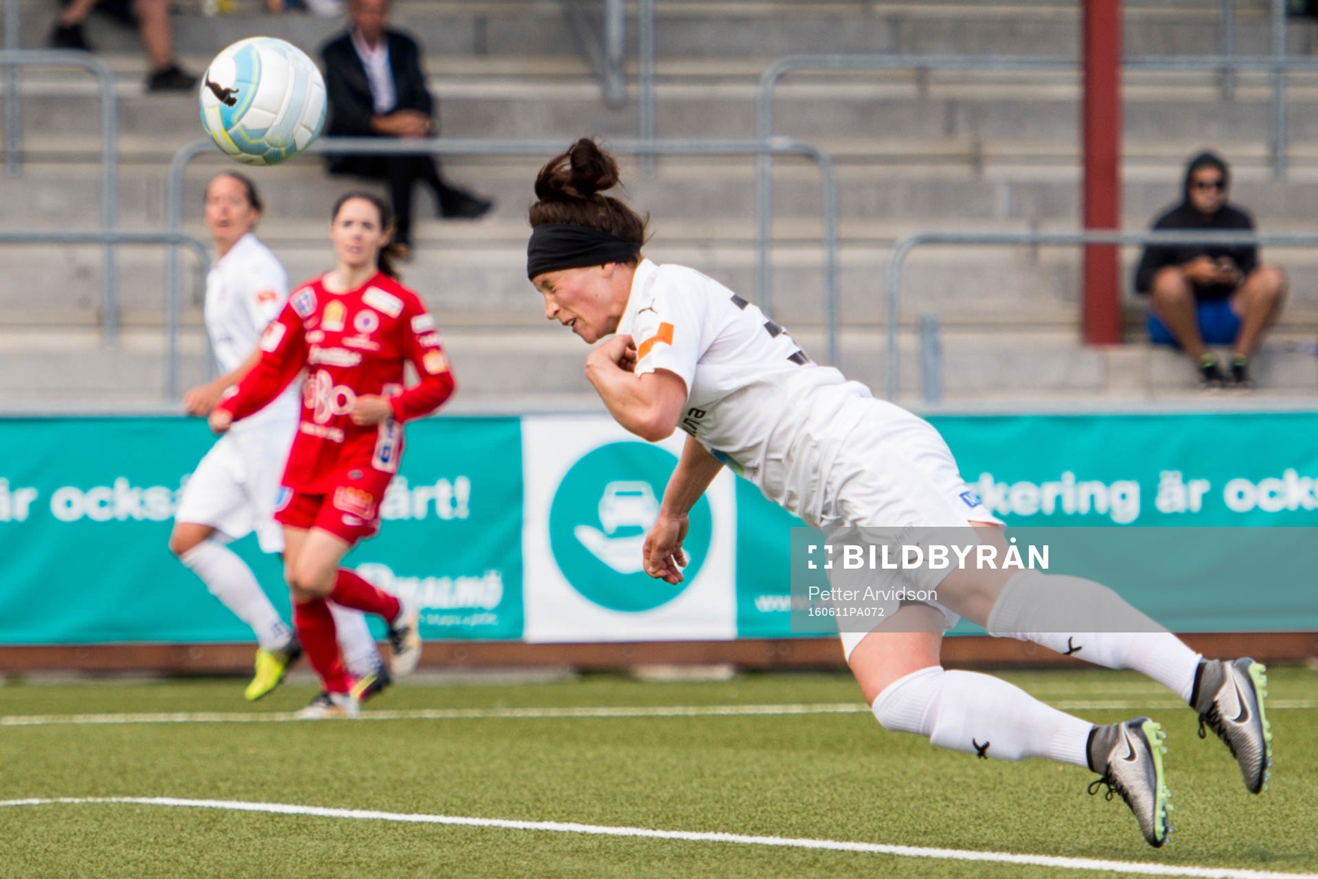 Rosengårds Ella Masar nickar