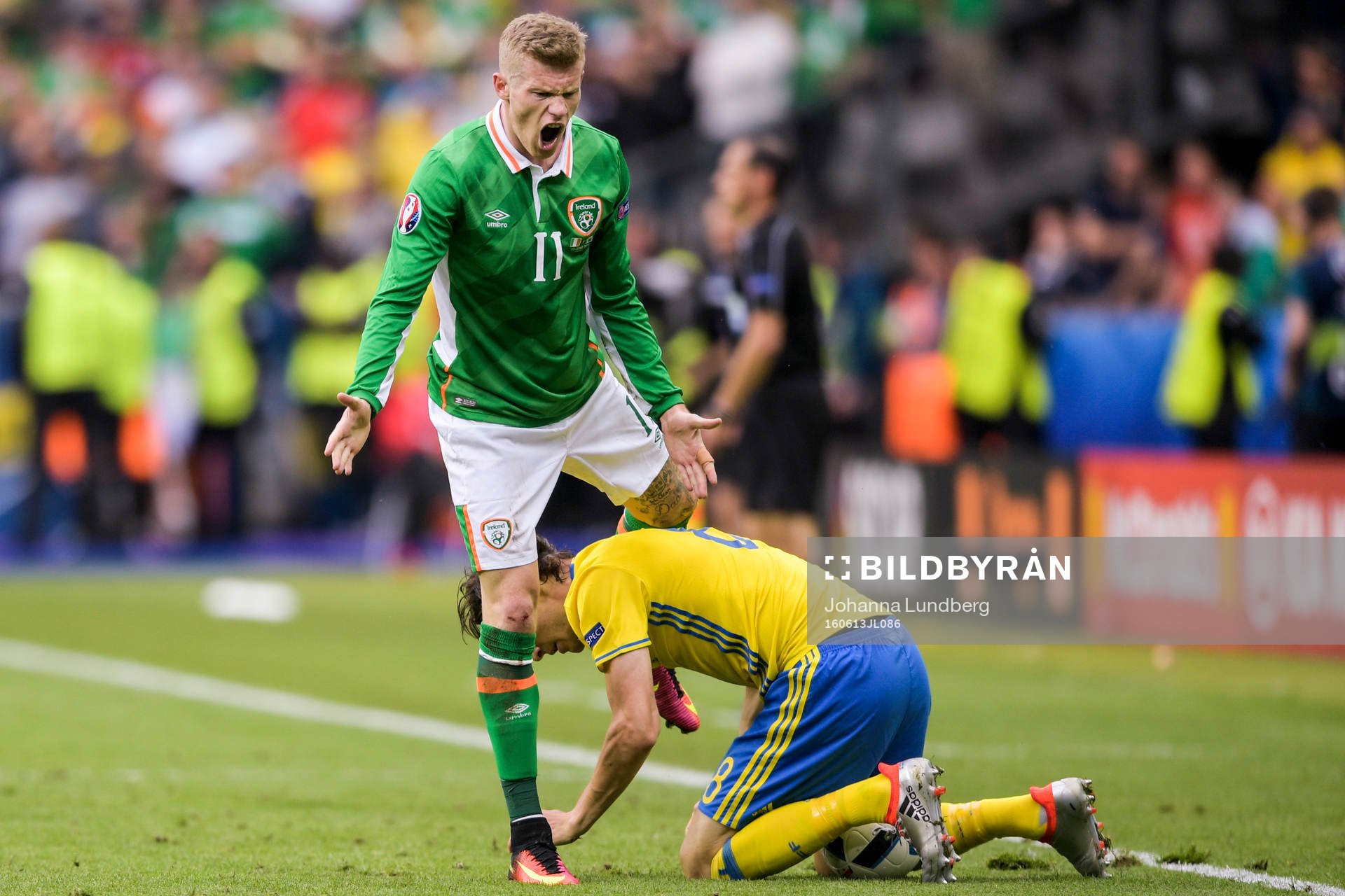 Irlands James McClean skriker på Sveriges Albin Ekdal i fotbollsmatchen mellan Irland och Sverige under fotbolls-EM den 13 juni 2016 i Saint-Denis.