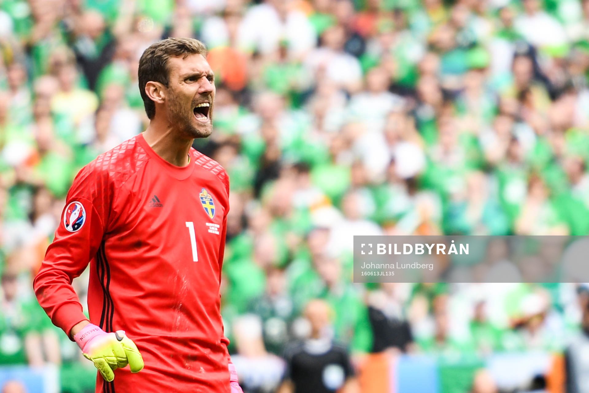 Sveriges målvakt Andreas Isaksson i fotbollsmatchen mellan