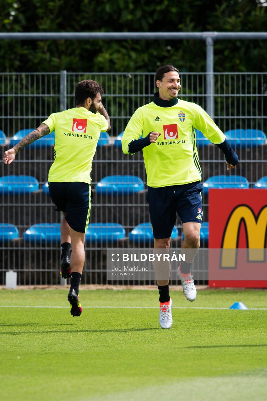 Erkan Zengin och Zlatan Ibrahimovic på Sveriges
