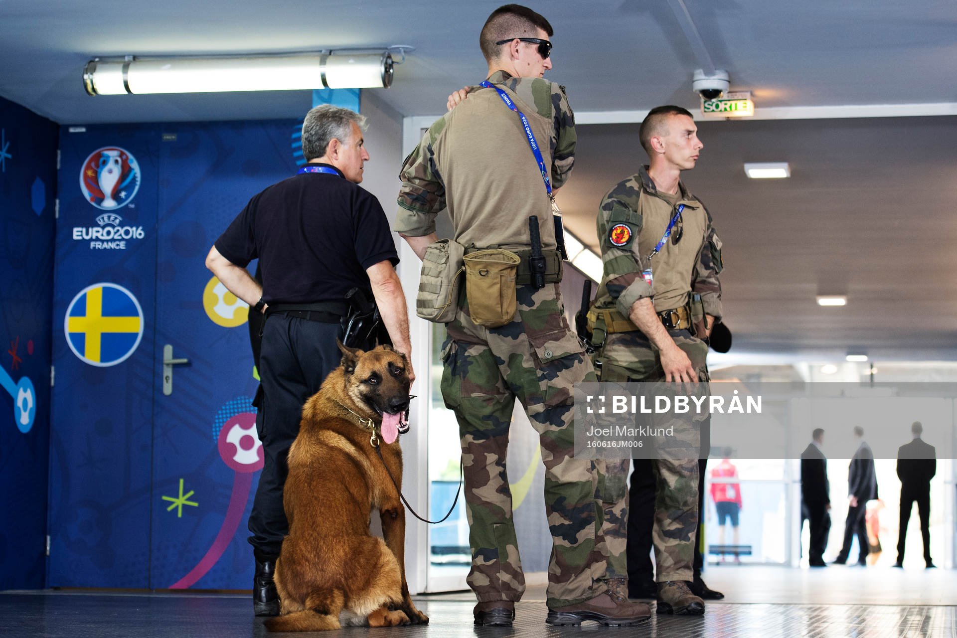 Militär med en hund