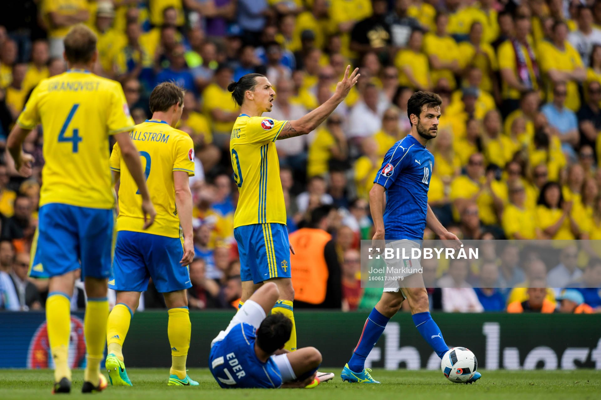 Sveriges Zlatan Ibrahimovic skriker på domaren i