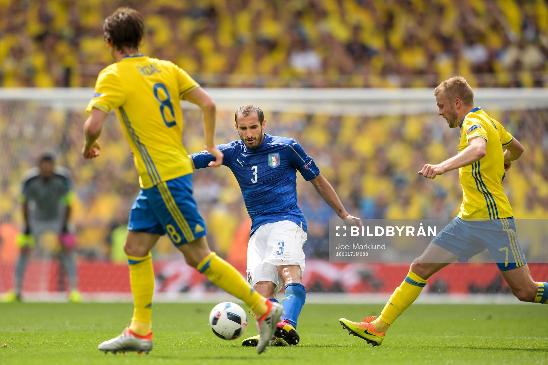 Italiens Giorgio Chiellini och Sveriges Sebastian Larsson i
