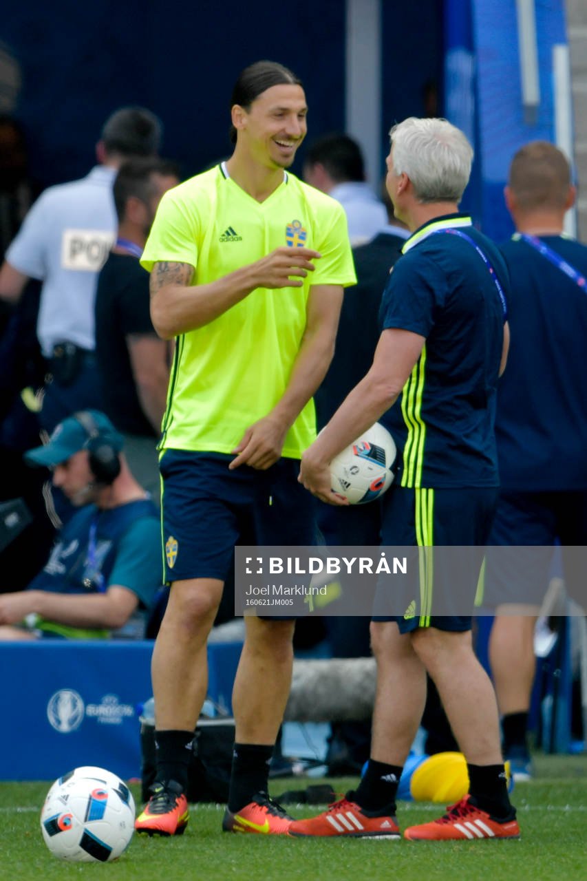 Zlatan Ibrahimovic pratar med Håkan Sjöstrand,