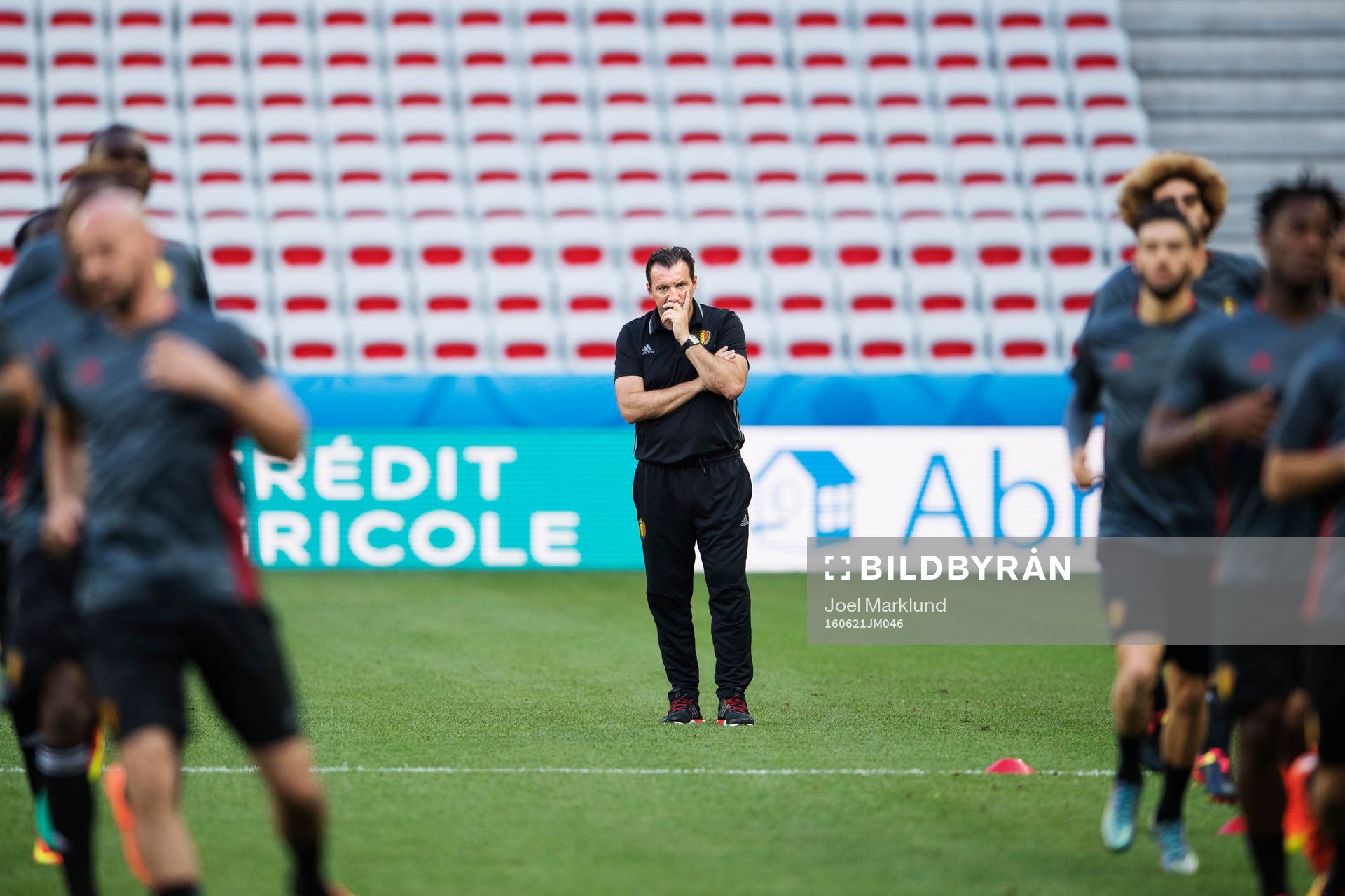 Förbundskapten Marc Wilmots på Belgiens fotbollslandslags