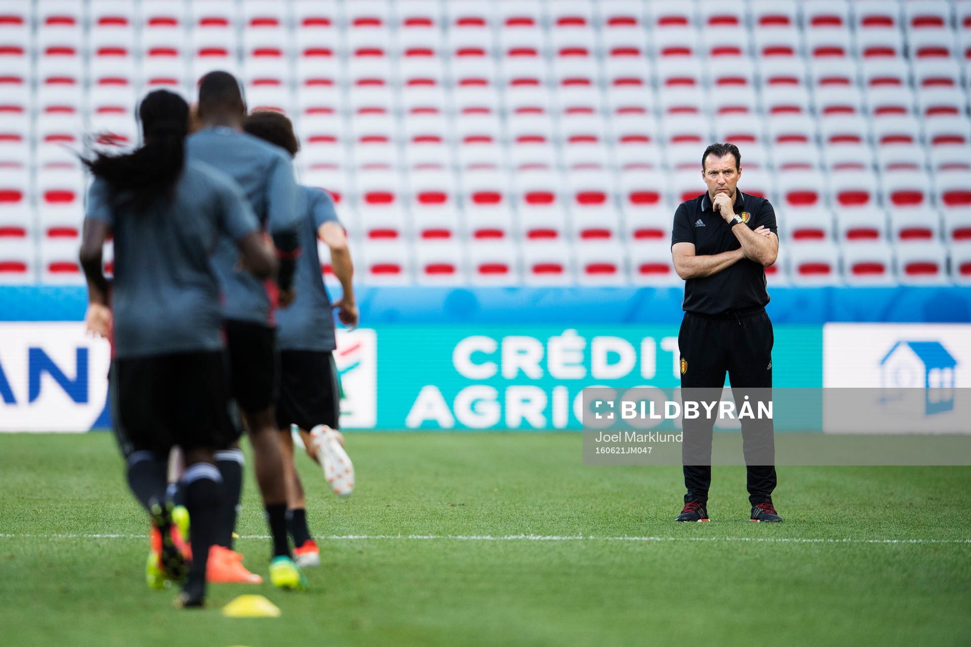 Förbundskapten Marc Wilmots på Belgiens fotbollslandslags