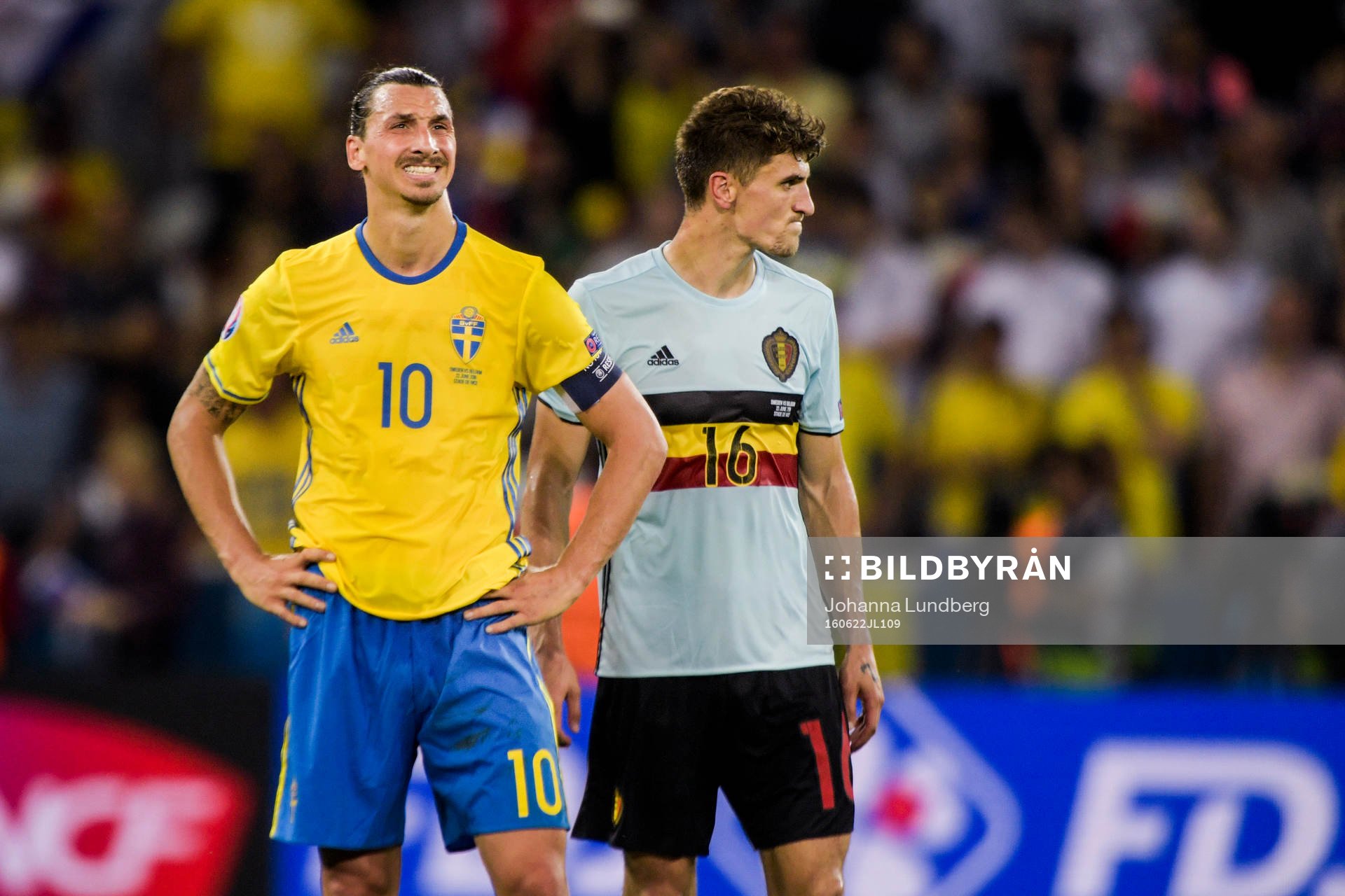 Sveriges Zlatan Ibrahimovic deppar framför Belgiens Thomas