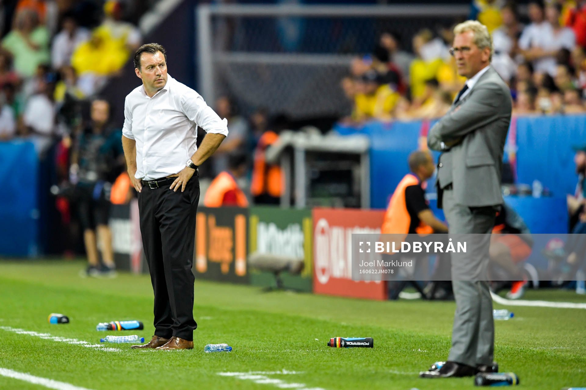 Belgiens förbundskapten Marc Wilmots och Sveriges