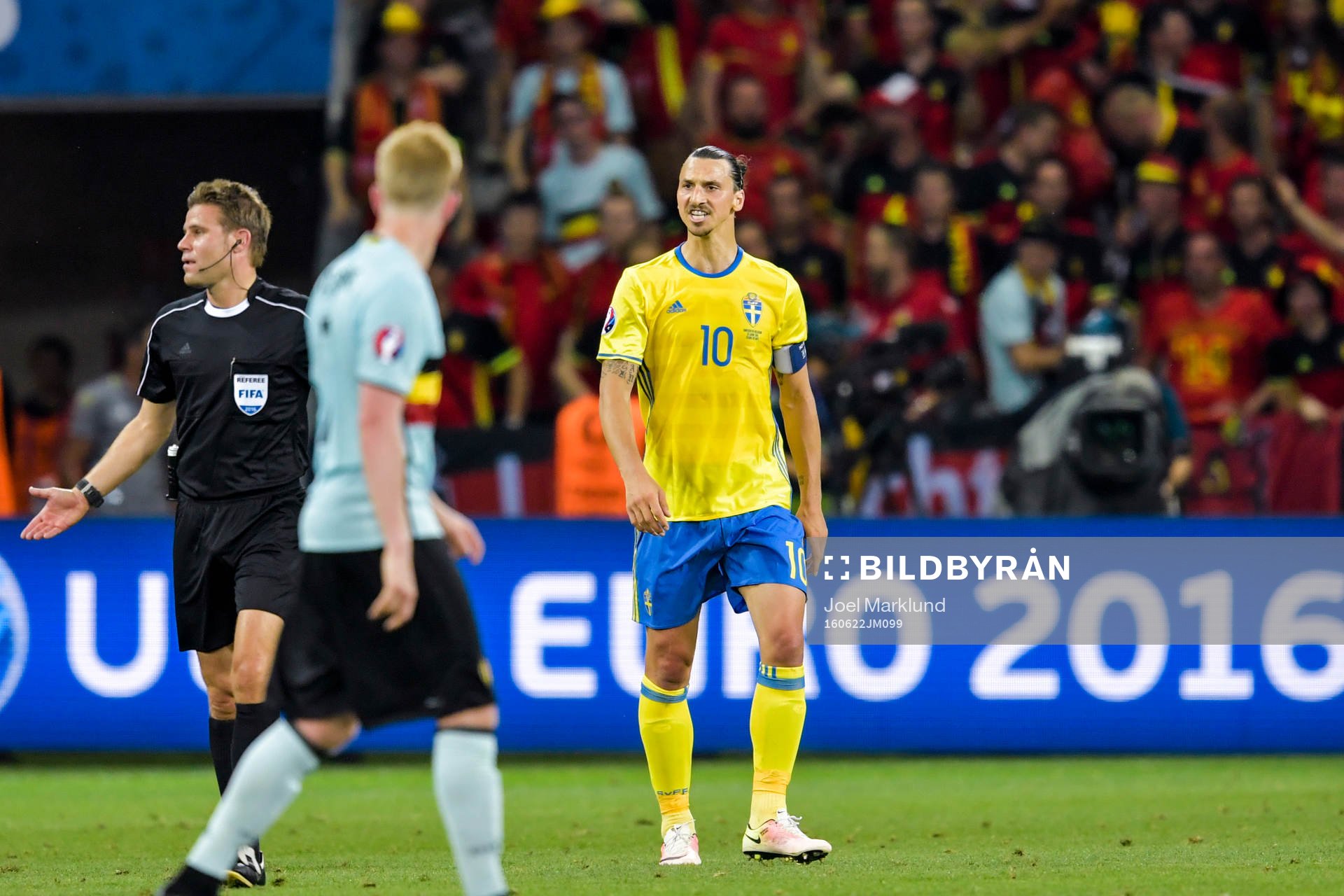 Sveriges Zlatan Ibrahimovic skriker på domare Felix Brych