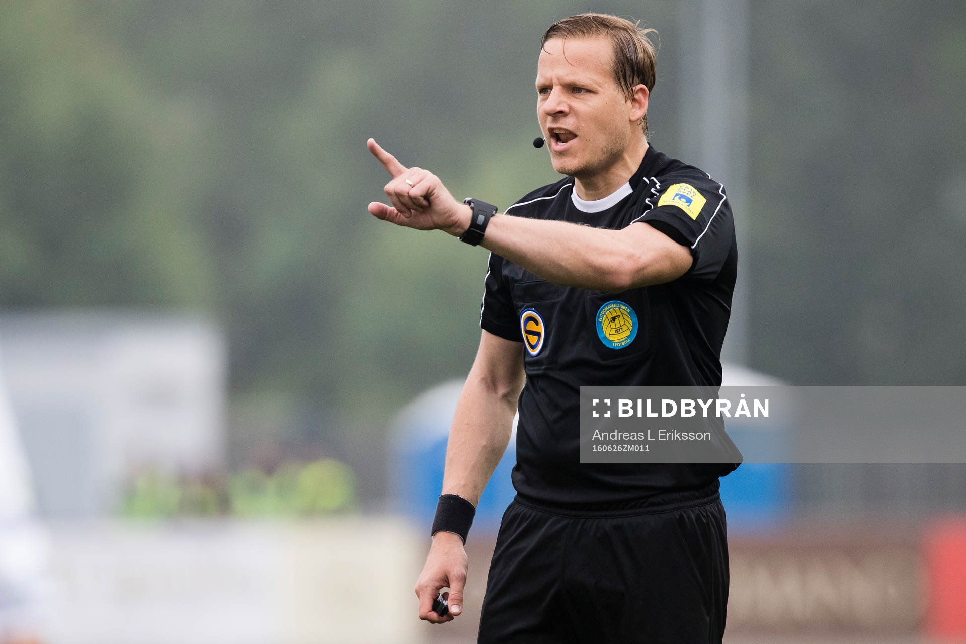Domare Johan Krantz