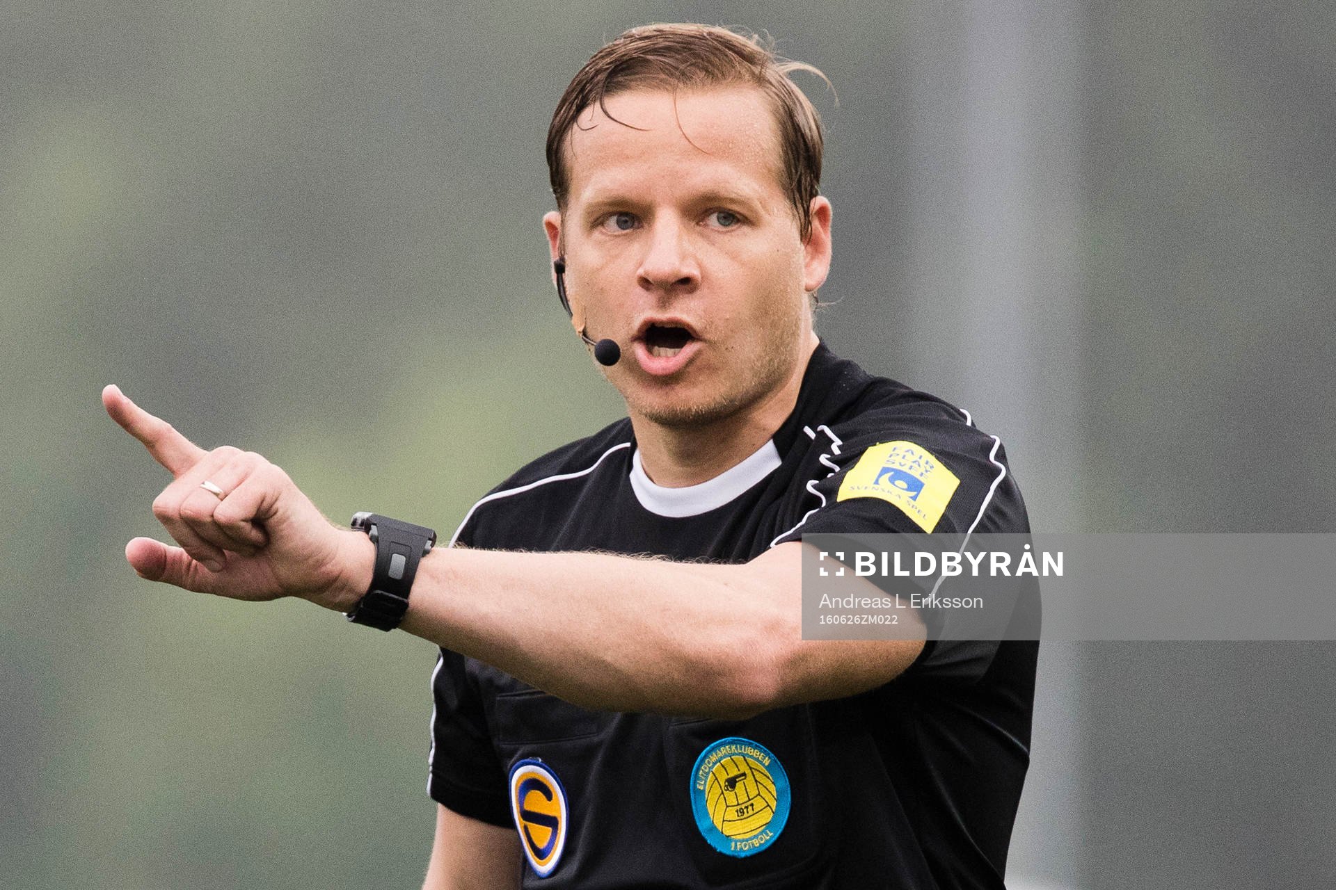 Domare Johan Krantz