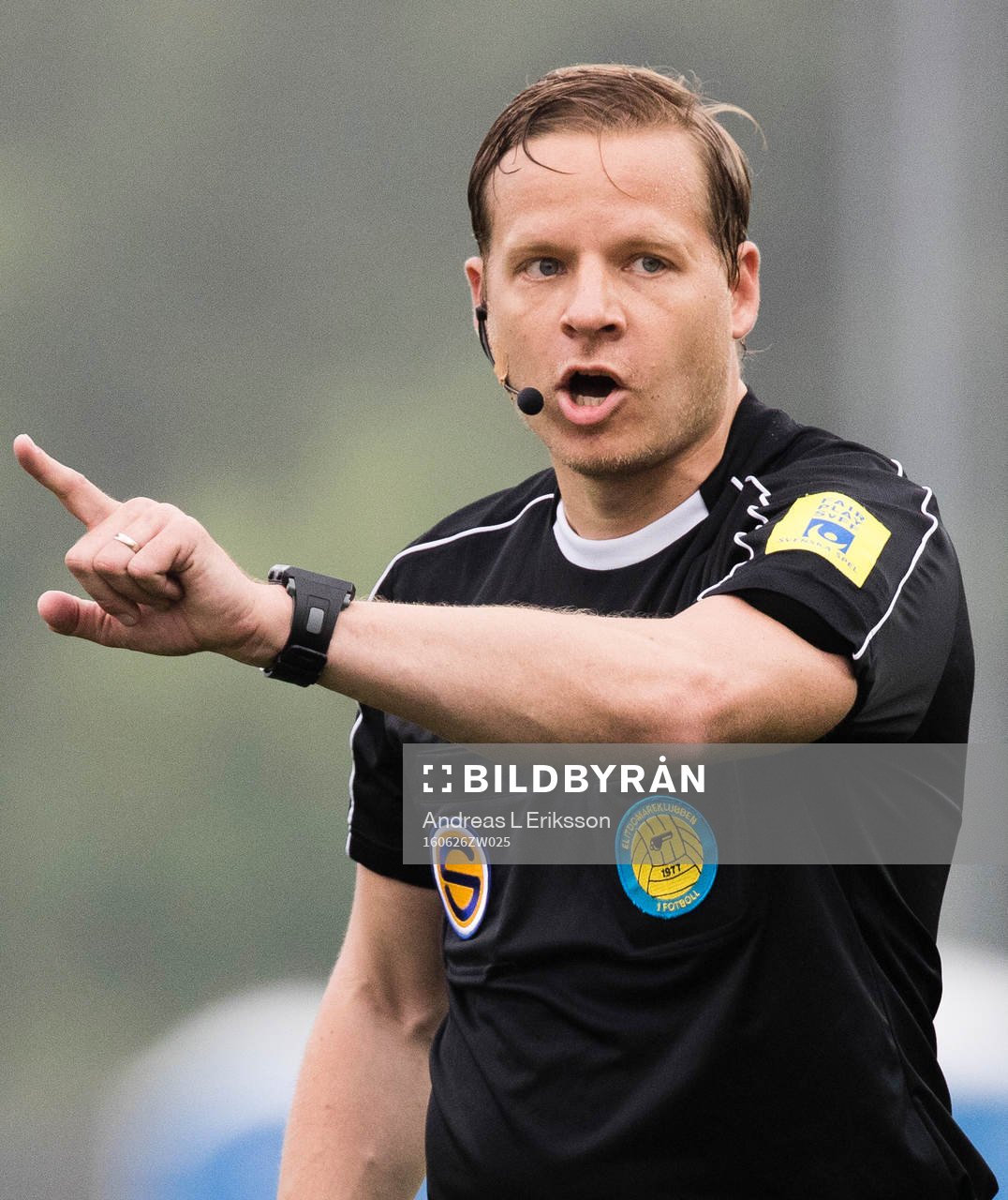 Domare Johan Krantz