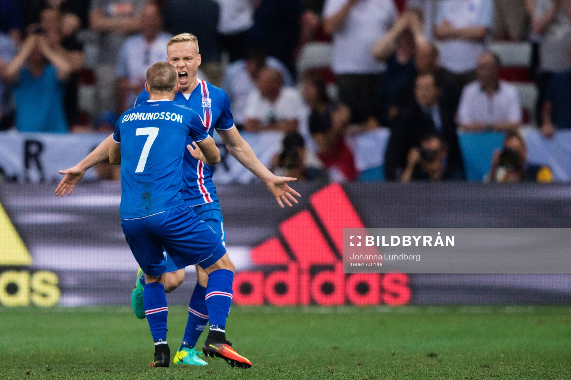 Islands Kolbeinn Sigthorsson (th) jublar mot Johann Gudmundsson (tv) efter att han har gjort 1-2 under fotbollsmatchen mellan England och Island under fotbolls-EM den 27 juni 2016 i Nice.