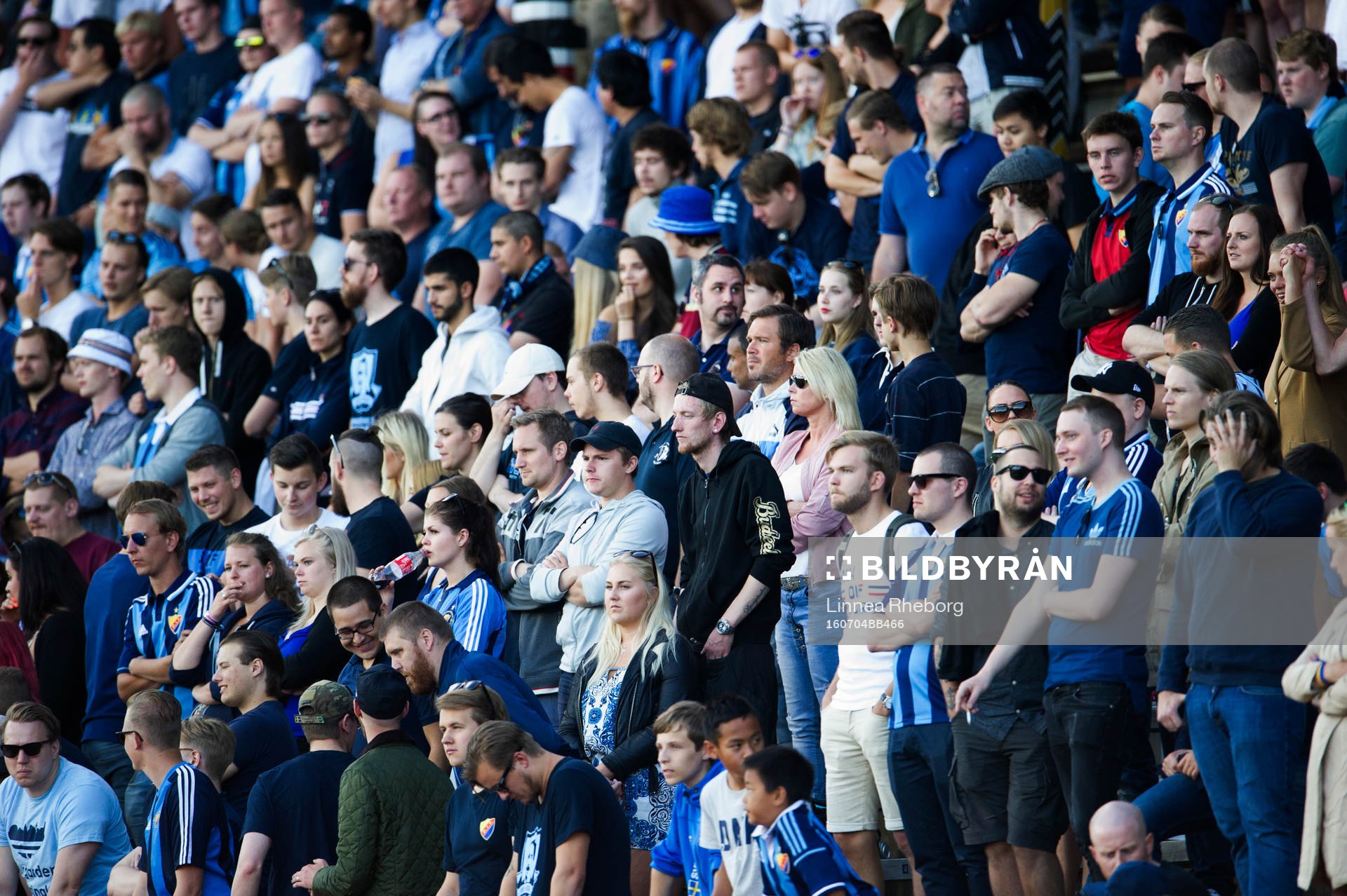 Djurgårdens fans