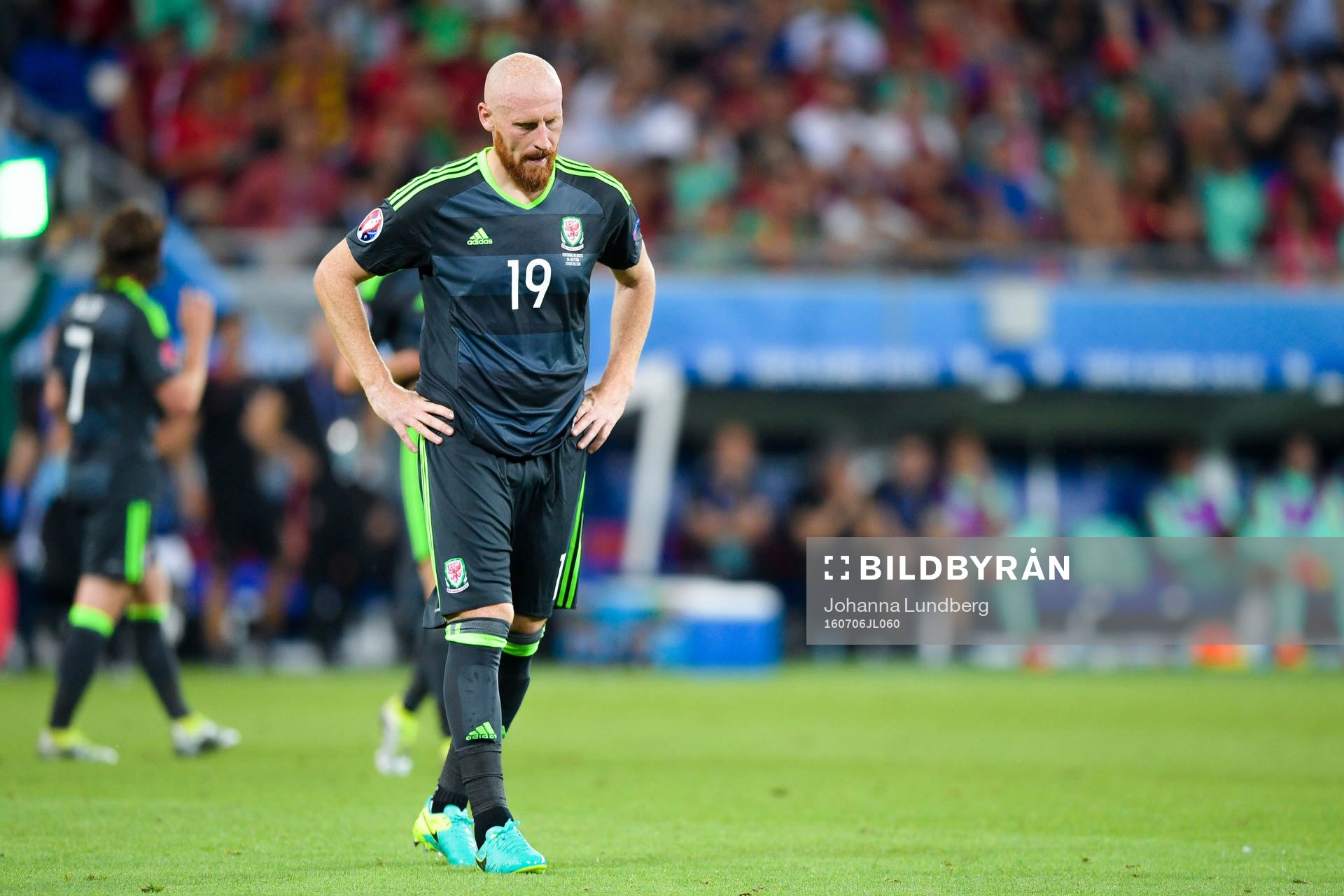 Wales James Collins deppar