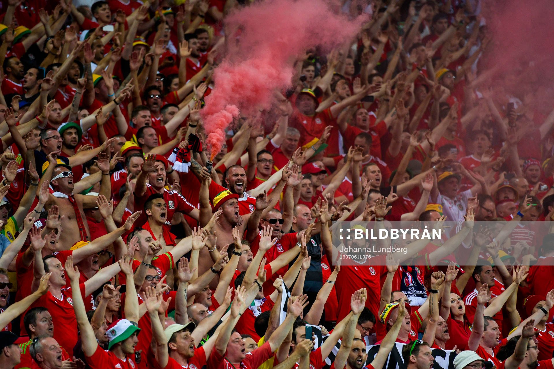 Portugals supportrar jublar
