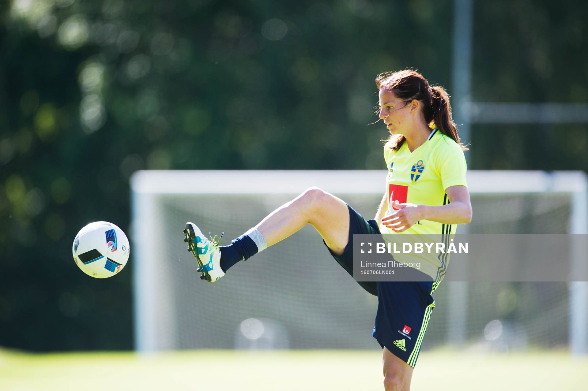 Lotta Schelin